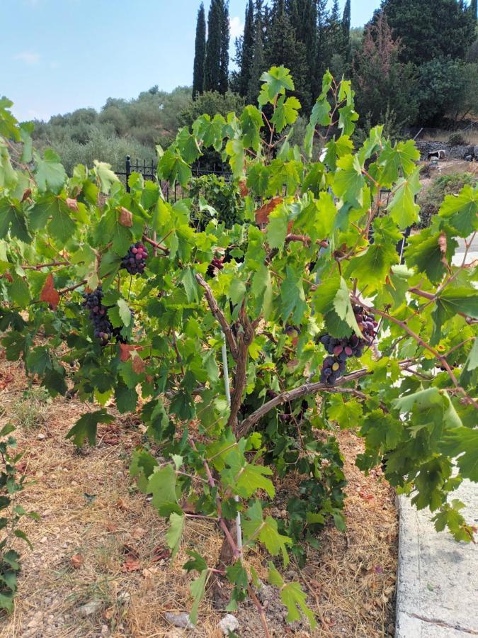 Вилла Οίνου Γη Ιθάκη - Winelandithaca Perachori Экстерьер фото